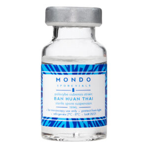 Spore Vial Psilocybe Cubensis Ban hua Thai (Mondo Mycologicals)
