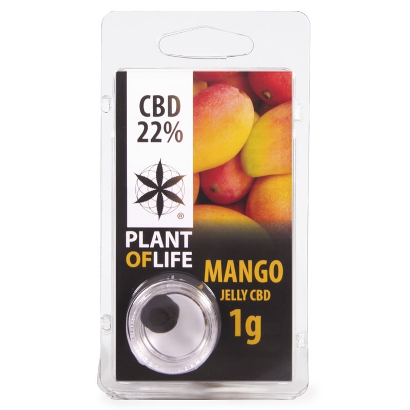 Mango CBD Jelly 22%, a sticky, creamy hash-style CBD concentrate made from hemp, with a soft golden-brown texture.