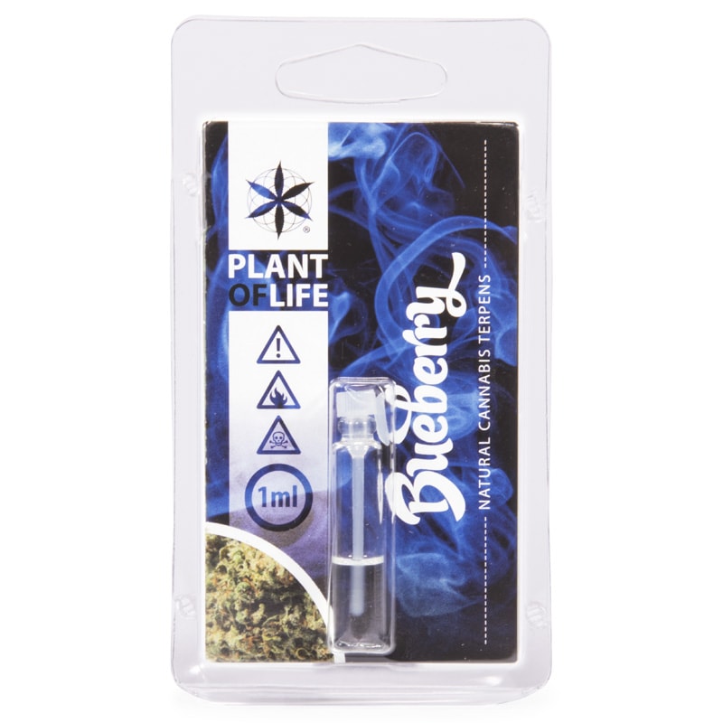 Terpene Blueberry 1ml (Plant of Life)
