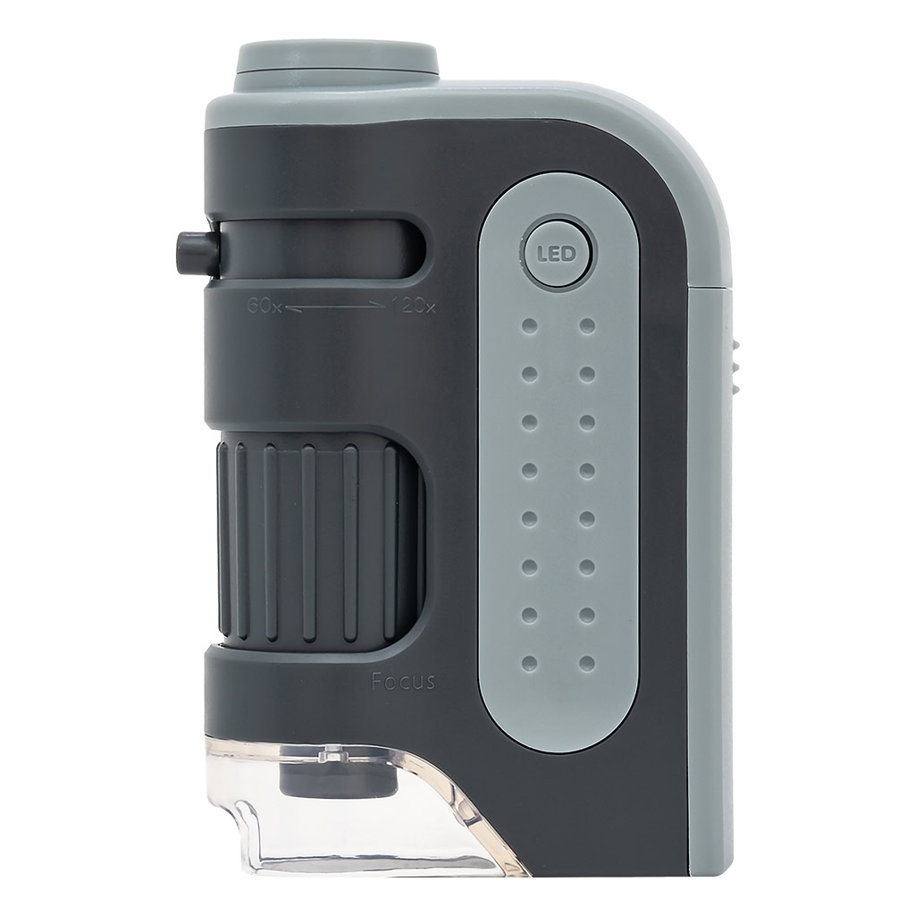 Pocket Microscope 60-120X LED (Carson)