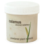 Calamus Powder