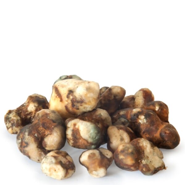Psilocybe Atlantis Magic Truffles