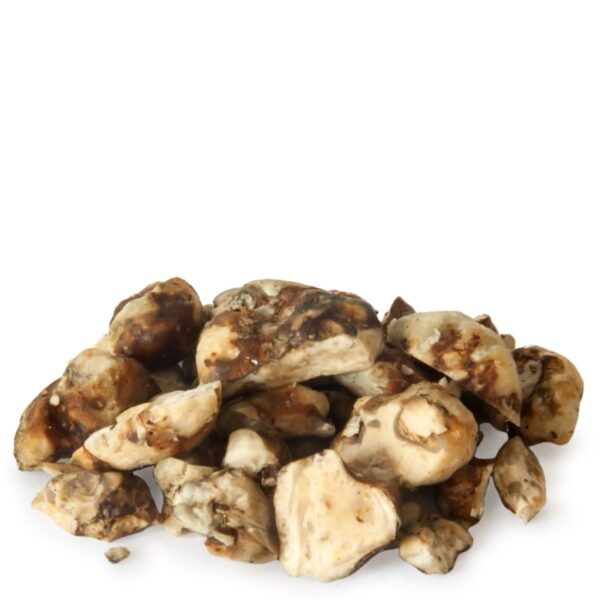 Psilocybe Dragon Magic Truffles