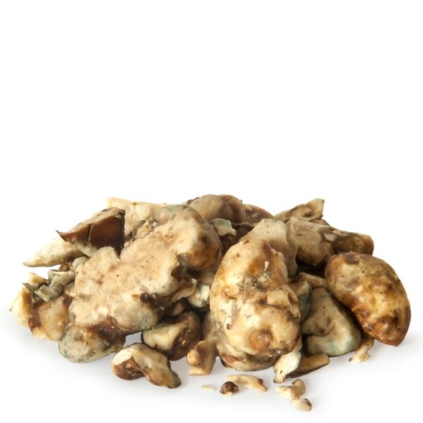 Psilocybe Hollandia Magic Truffles