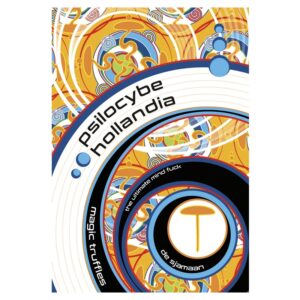 Psilocybe Hollandia Magic Truffles