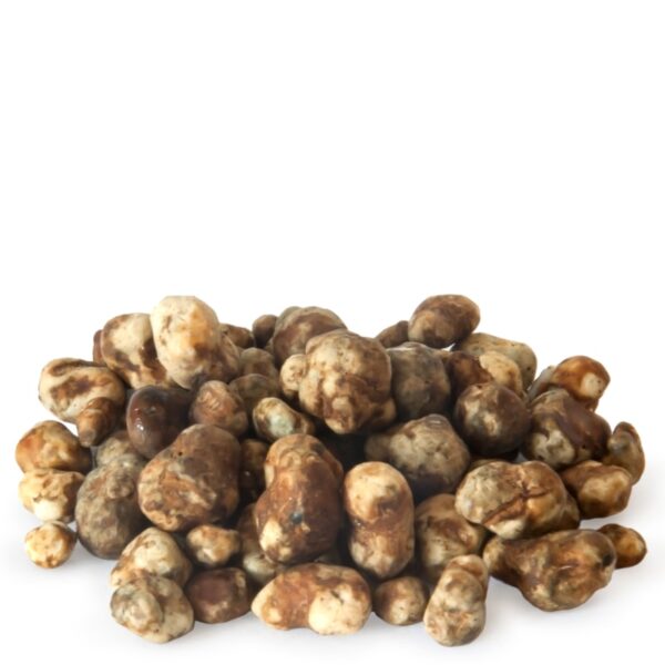 Psilocybe Mexicana Magic Truffles