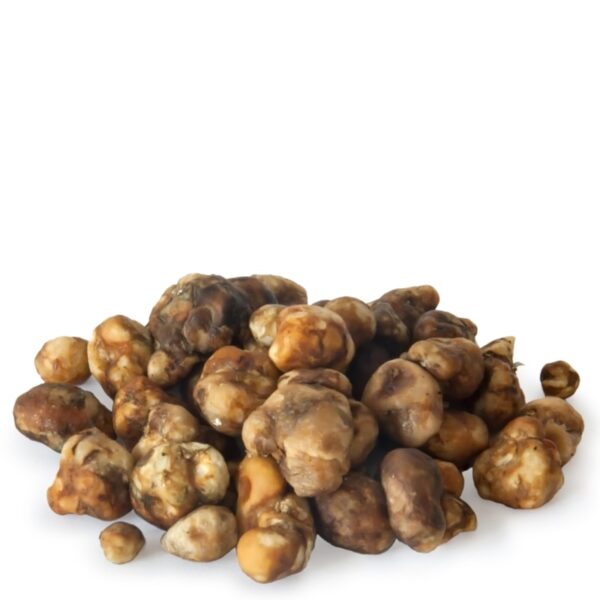 Psilocybe Pajaritos Magic Truffles
