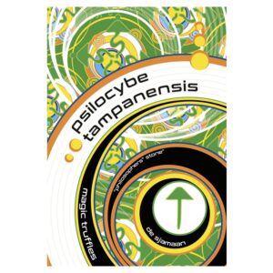 Psilocybe Tampanensis Magic Truffles