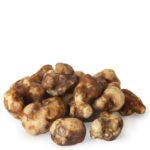 Psilocybe Tampanensis Magic Truffles