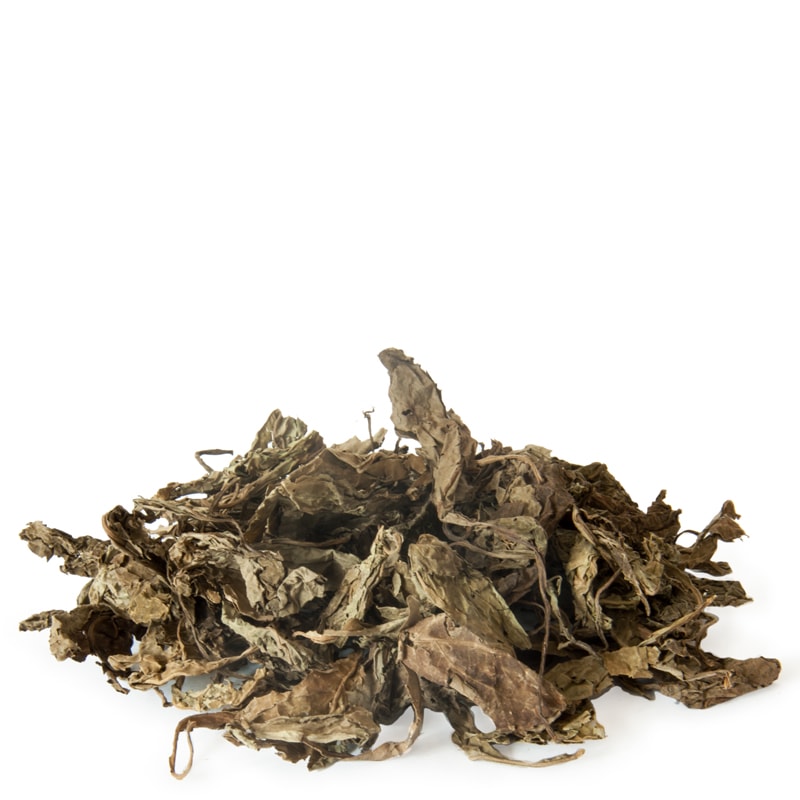 Salvia Divinorum Dry Leaves
