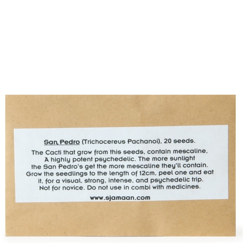 Trichocereus Pachanoi (San Pedro) Seeds