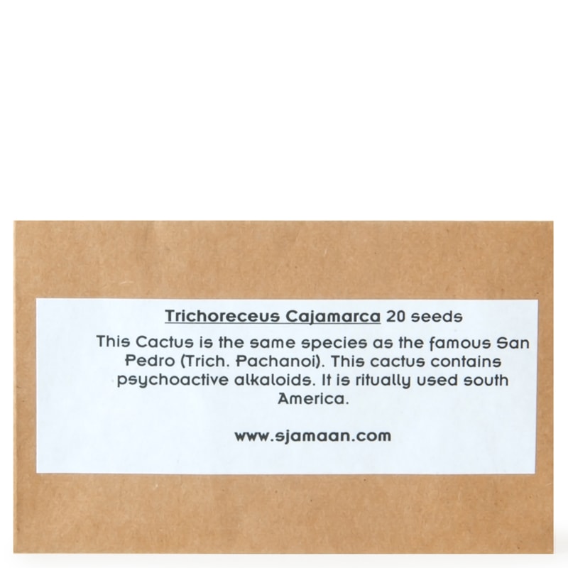 Trichocereus Cajamarca Seeds