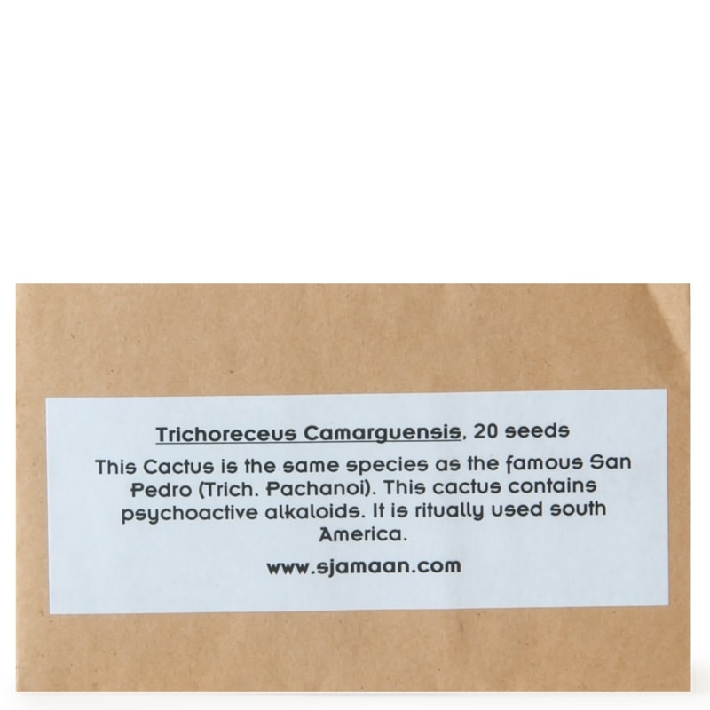 Trichocereus Camarguensis Seeds
