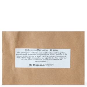 Trichocereus Macrogonus Seeds