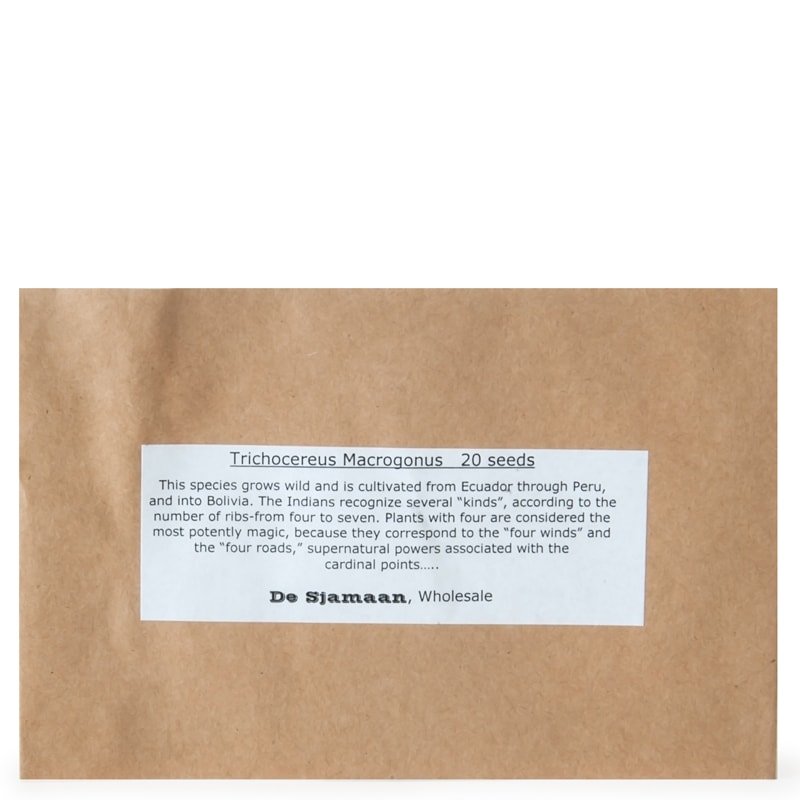 Trichocereus Macrogonus Seeds