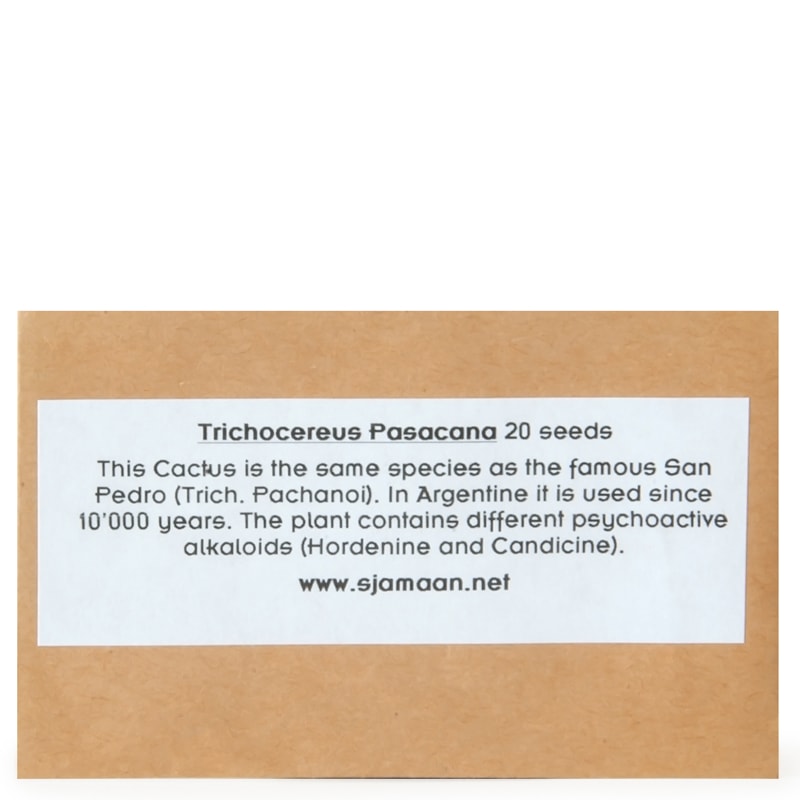 Trichocereus Pasacana Seeds