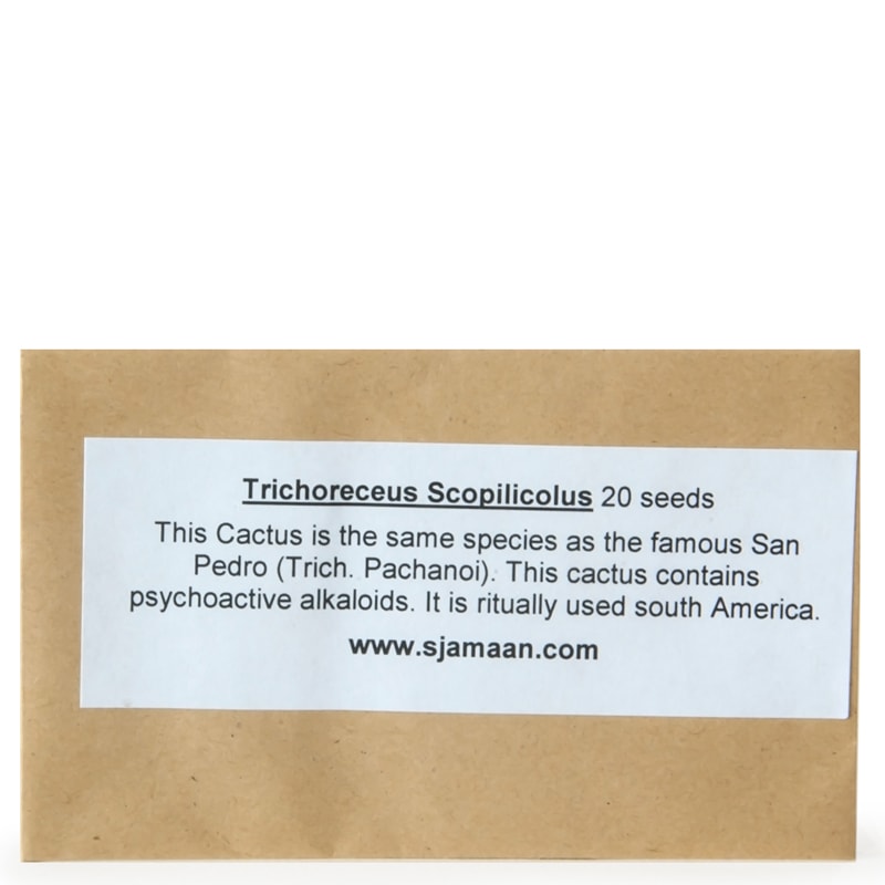 Trichocereus Scopilicolus Seeds