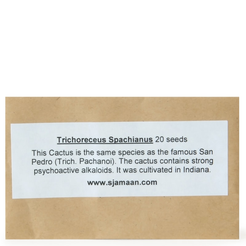 Trichocereus Spachianus Seeds