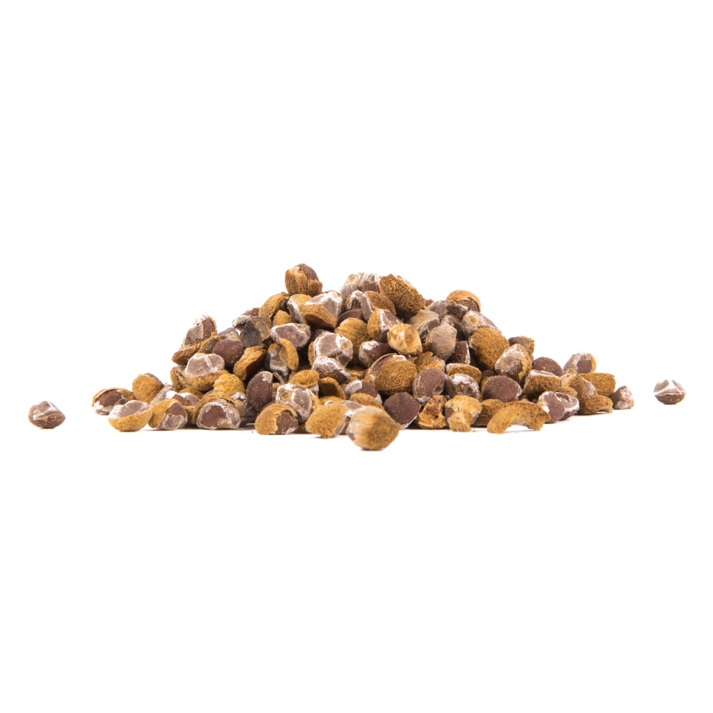 Hawaiian Baby Woodrose