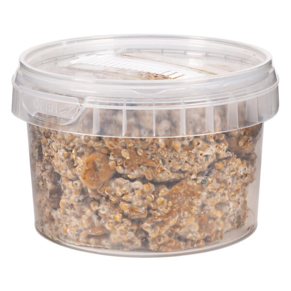 Magic Truffle Growkit Tampanensis 280ml - Image 2