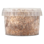 Growkit Psilocybe Azurescens 280ml