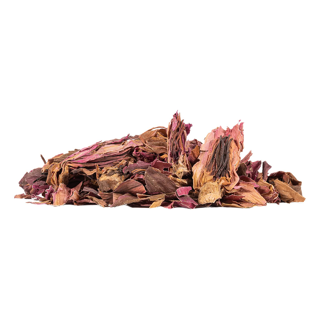 Red Lotus Flower dried petals Nymphaea rubra herbal tea relaxation